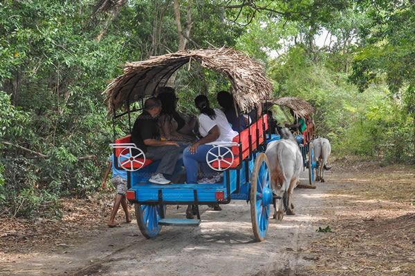 LK60060500-06-E-1280-720